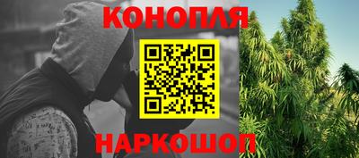 мяу мяу мука Усть-Джегута